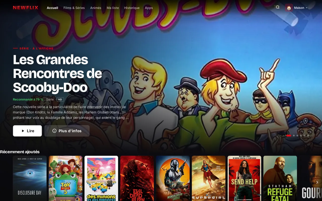 Aperçu de Newflix